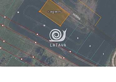 Tvenkinio g. 9 Vilkijoje, erdvus namų valdos sklypas